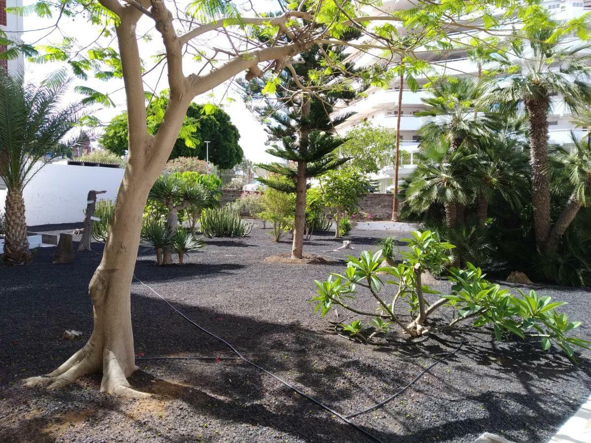 Vina Del Mar Apartment ปลายาเดลาสอเมริกาส ภายนอก รูปภาพ